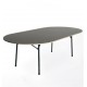  Table ovale 450x100 : 19 personnes