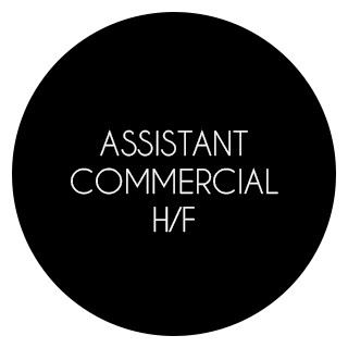 Assistant commercial H / F 