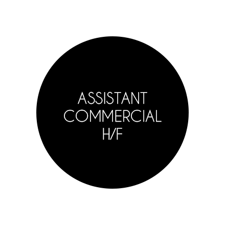 Assistant commercial H / F 
