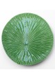 Assiette présentation AMAZONIA