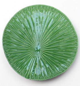Assiette présentation AMAZONIA