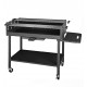  Barbecue Charbon Compact