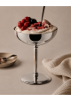 Coupe à glace Inox